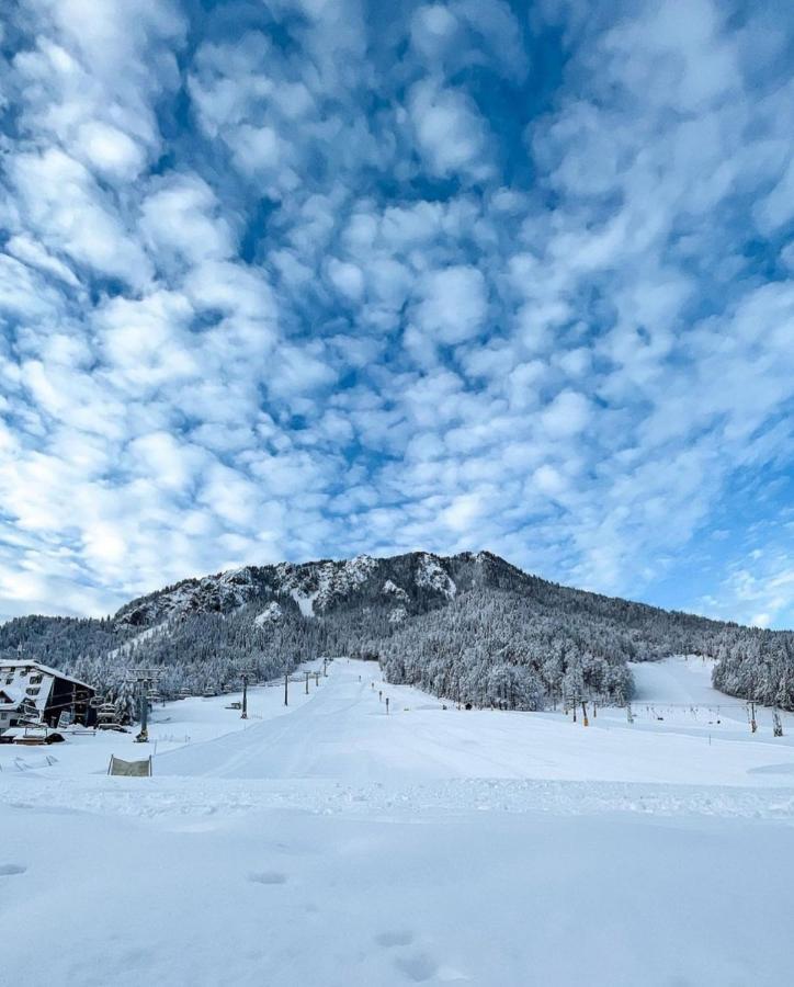 Koca Martuljek Villa Gozd Martuljek Buitenkant foto