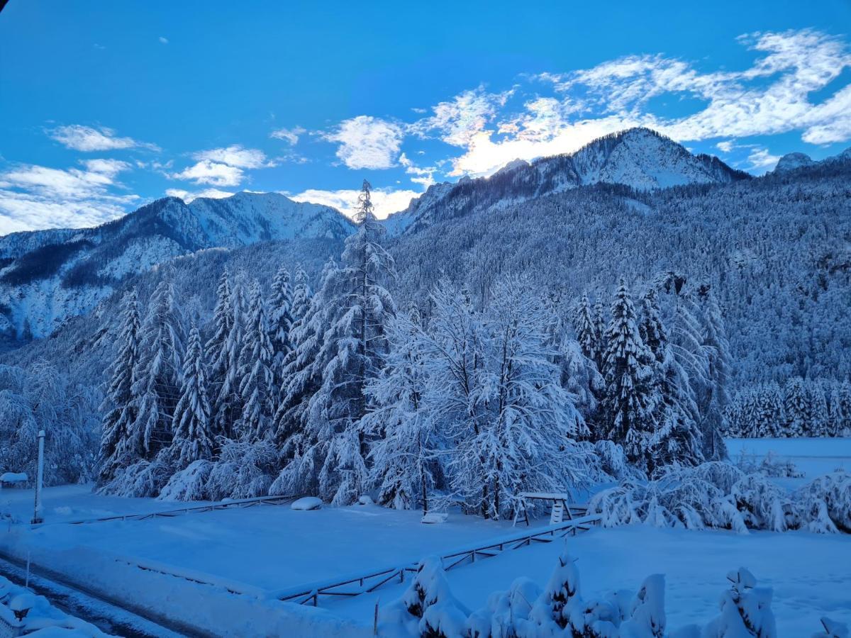 Koca Martuljek Villa Gozd Martuljek Buitenkant foto